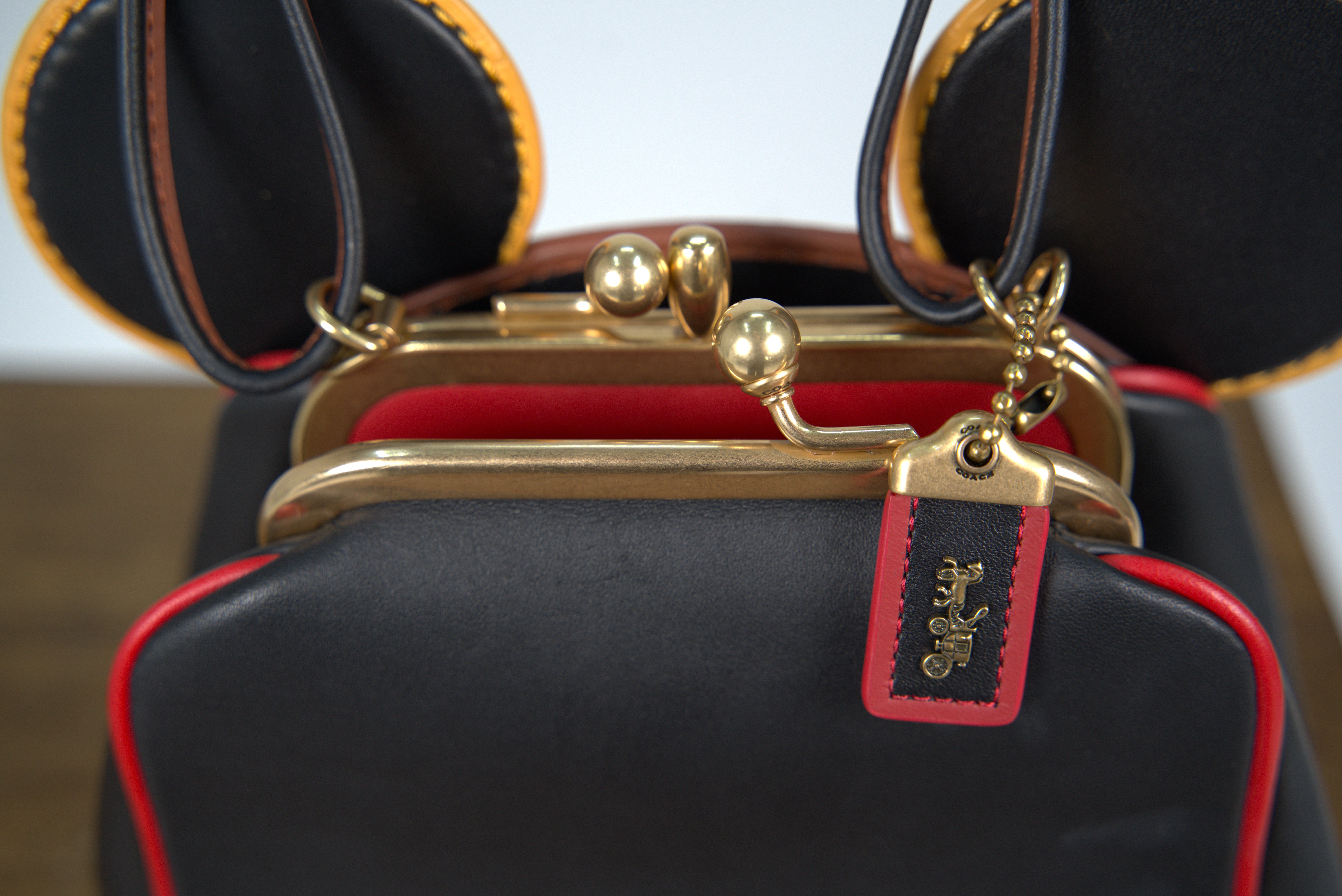 Coach Disney Bag
